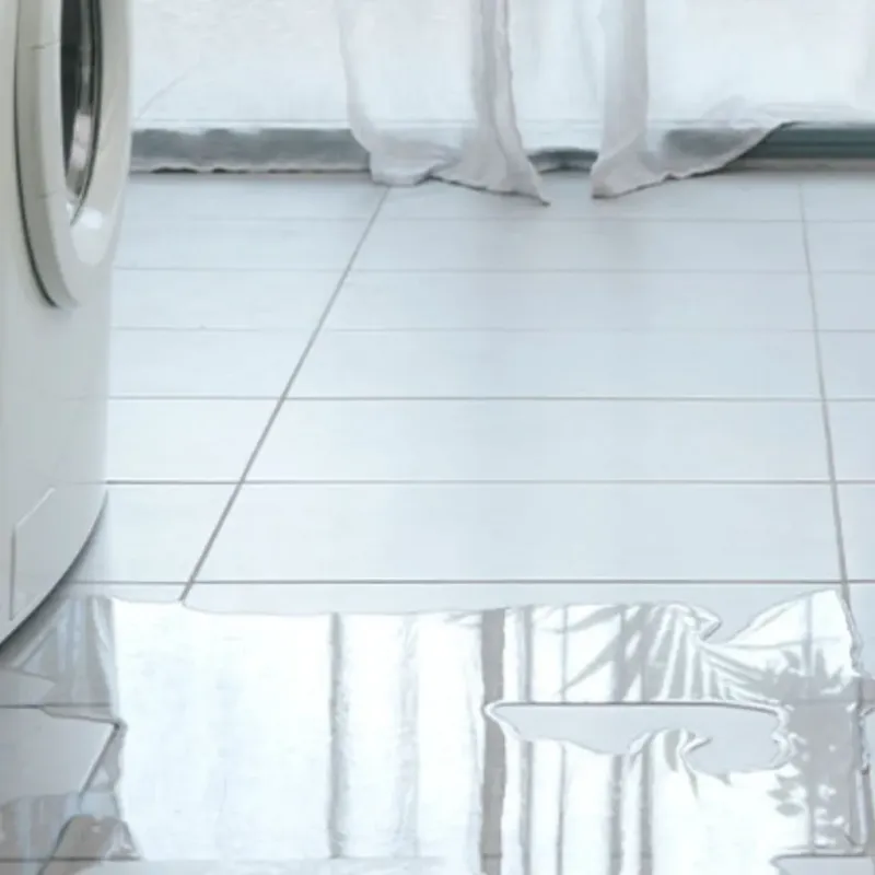 Appliance Leak Cleanup in Lincoln County, WA