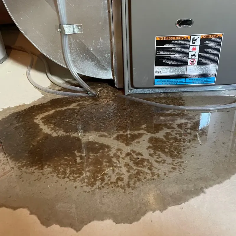 Pipe Burst and Leak Restoration in Lincoln County, WA