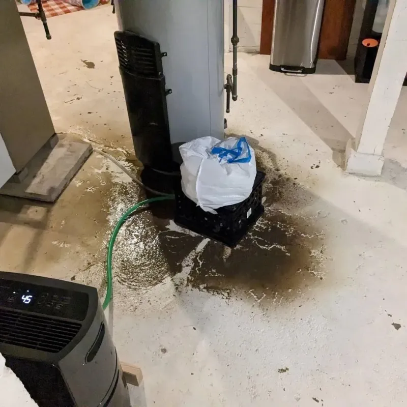 Sewage Backup Cleanup Service in Lincoln County, WA